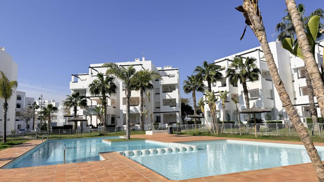 Sale - Apartment - Torre-Pacheco - Roldan