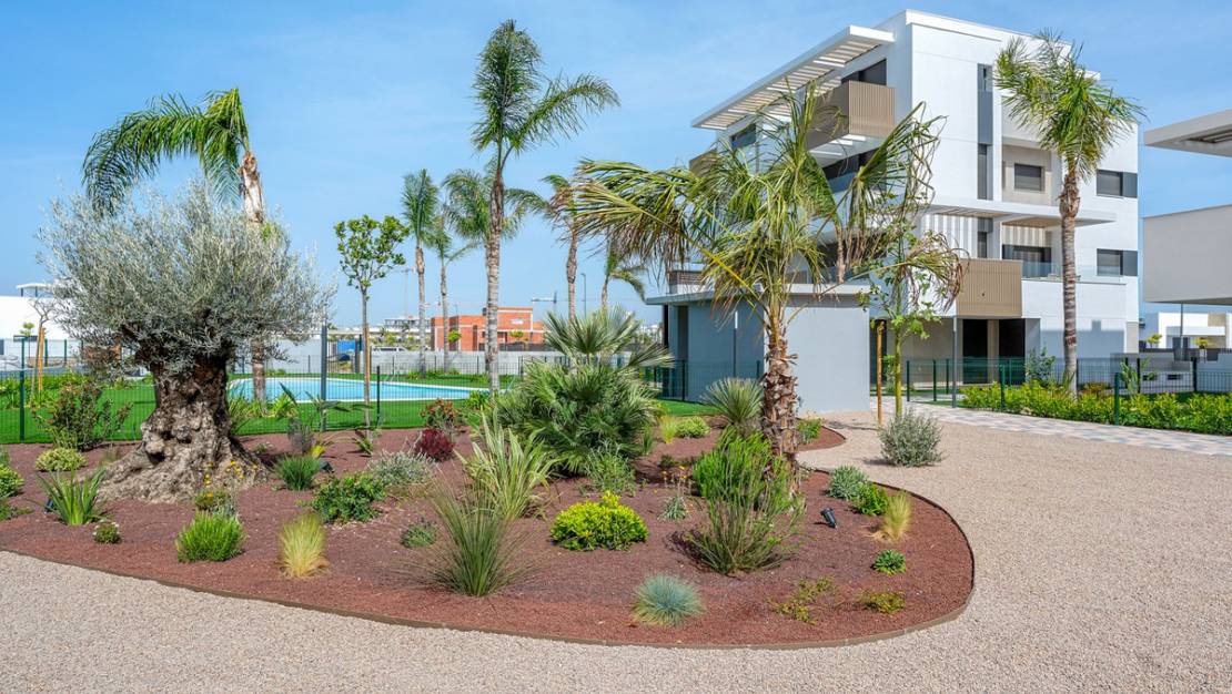 Sale - Apartment - Torre-Pacheco - Torre-Pacheco Centro