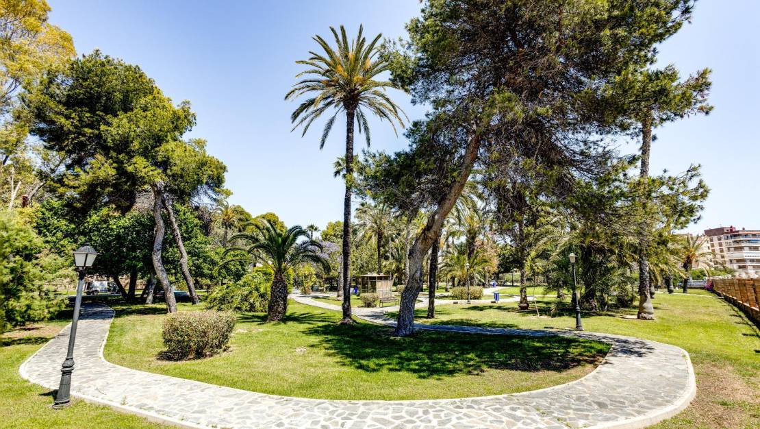 Sale - Apartment - Torrevieja - Acequion