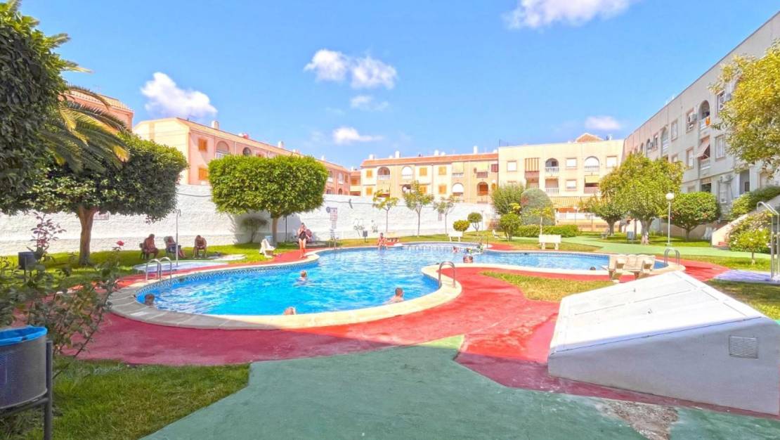 Sale - Apartment - Torrevieja - Acequion