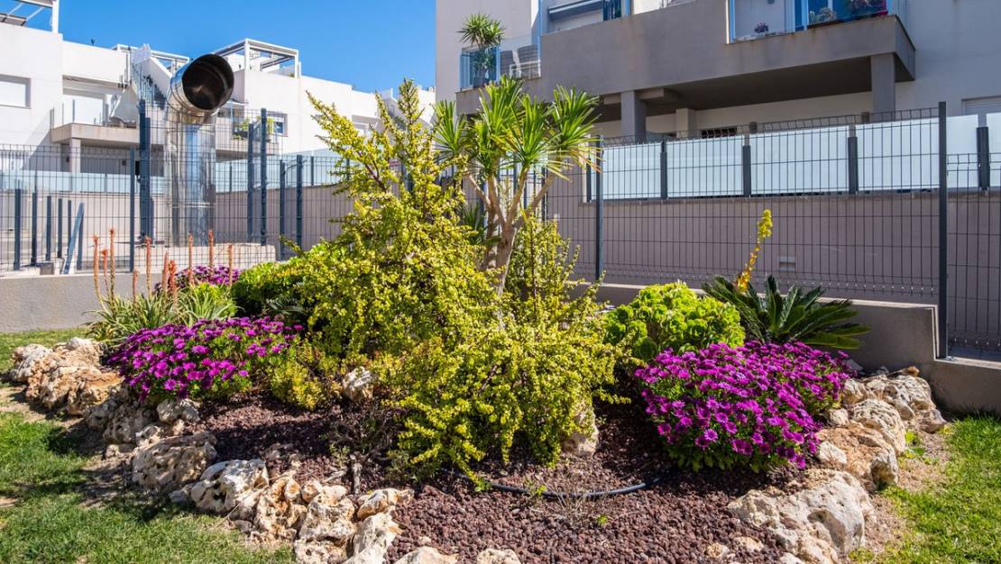 Sale - Apartment - Torrevieja - Aguas Nuevas