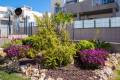 Sale - Apartment - Torrevieja - Aguas Nuevas