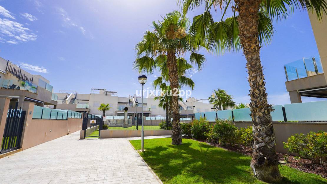 Sale - Apartment - Torrevieja - Aguas Nuevas