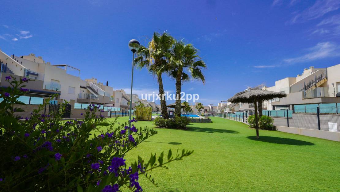 Sale - Apartment - Torrevieja - Aguas Nuevas