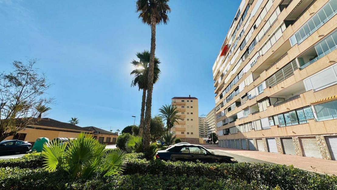 Sale - Apartment - Torrevieja - Cabo cervera