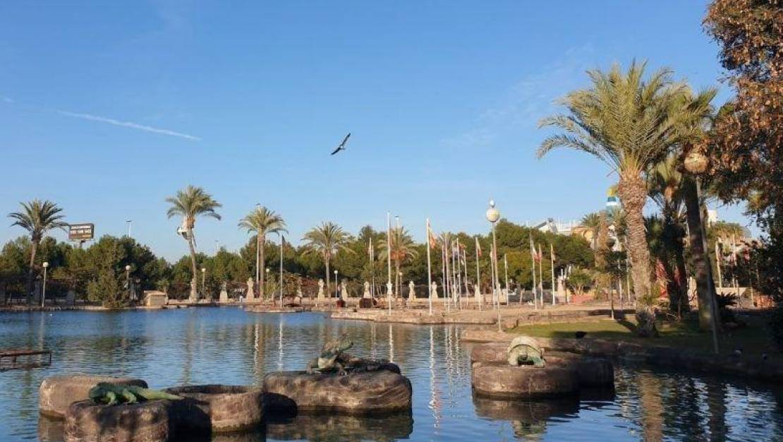 Sale - Apartment - Torrevieja - Centro
