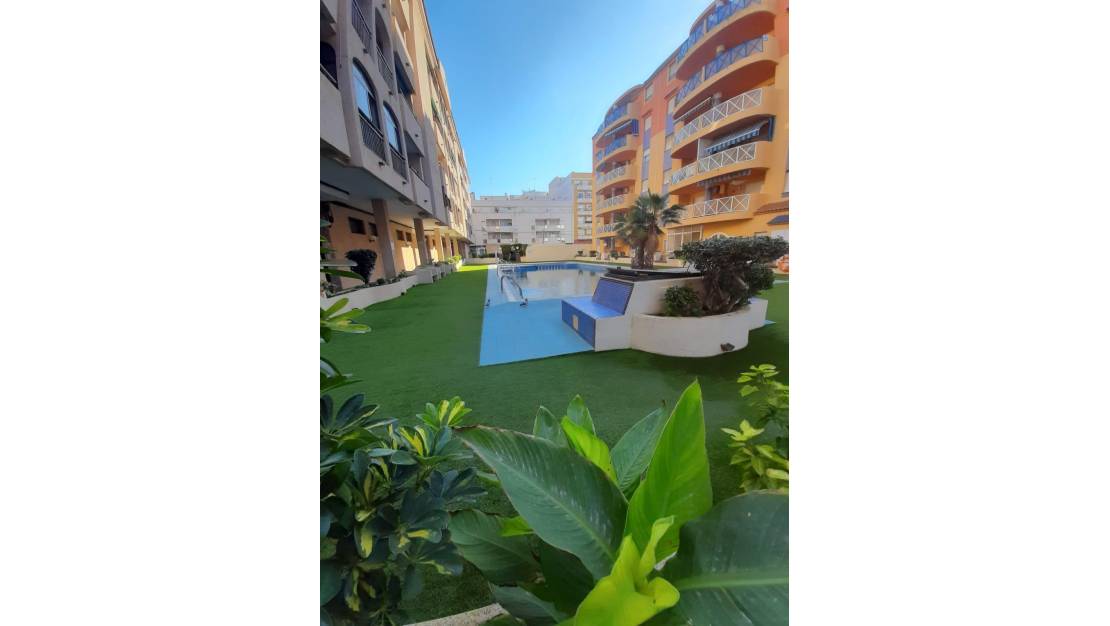 Sale - Apartment - Torrevieja - Centro