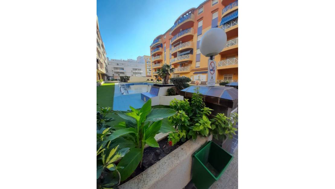 Sale - Apartment - Torrevieja - Centro