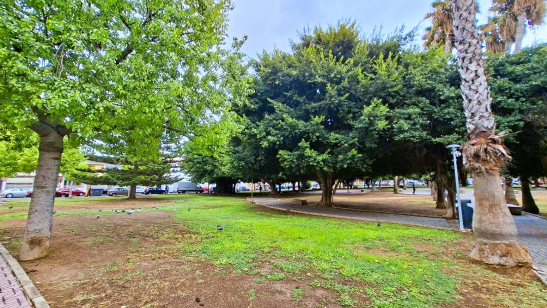 Sale - Apartment - Torrevieja - El Acequión - Los Náufragos