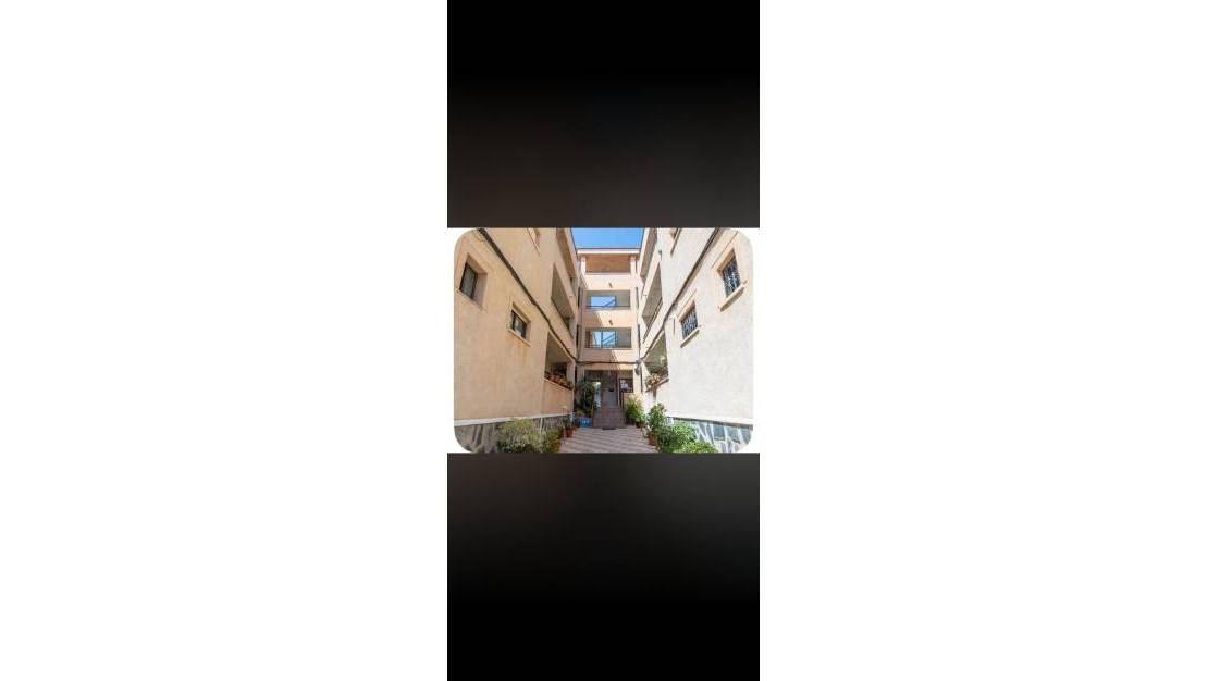 Sale - Apartment - Torrevieja - El chaparral