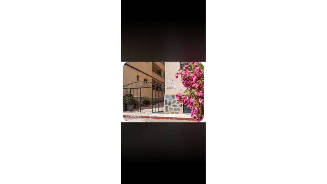 Sale - Apartment - Torrevieja - El chaparral