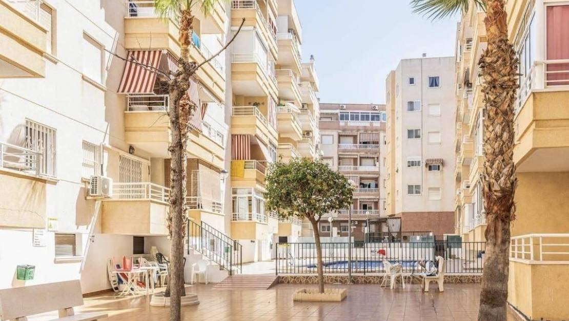 Sale - Apartment - Torrevieja - Estacion de autobuses