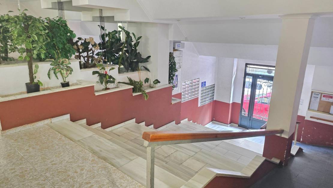 Sale - Apartment - Torrevieja - Estacion de autobuses