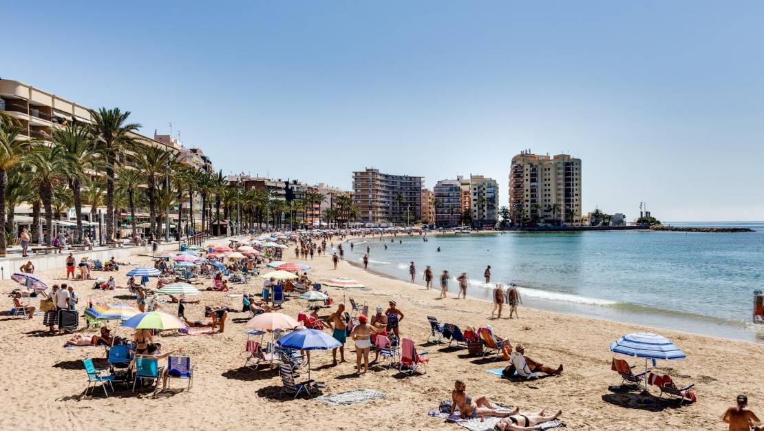 Sale - Apartment - Torrevieja - Estacion de autobuses