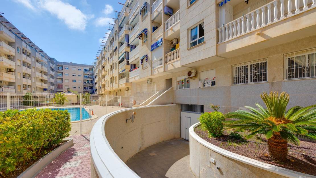 Sale - Apartment - Torrevieja - Habaneras