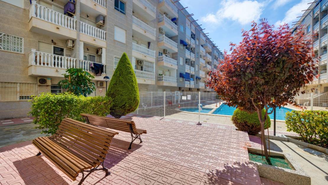 Sale - Apartment - Torrevieja - Habaneras