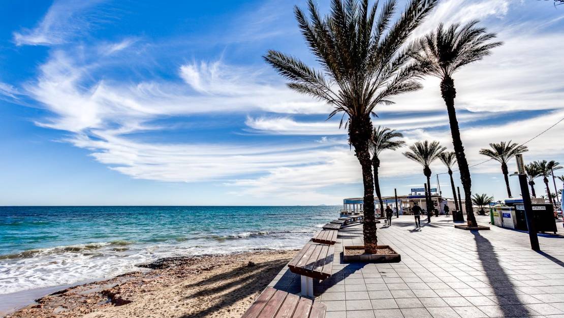 Sale - Apartment - Torrevieja - Habaneras