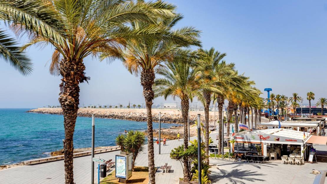 Sale - Apartment - Torrevieja - Habaneras