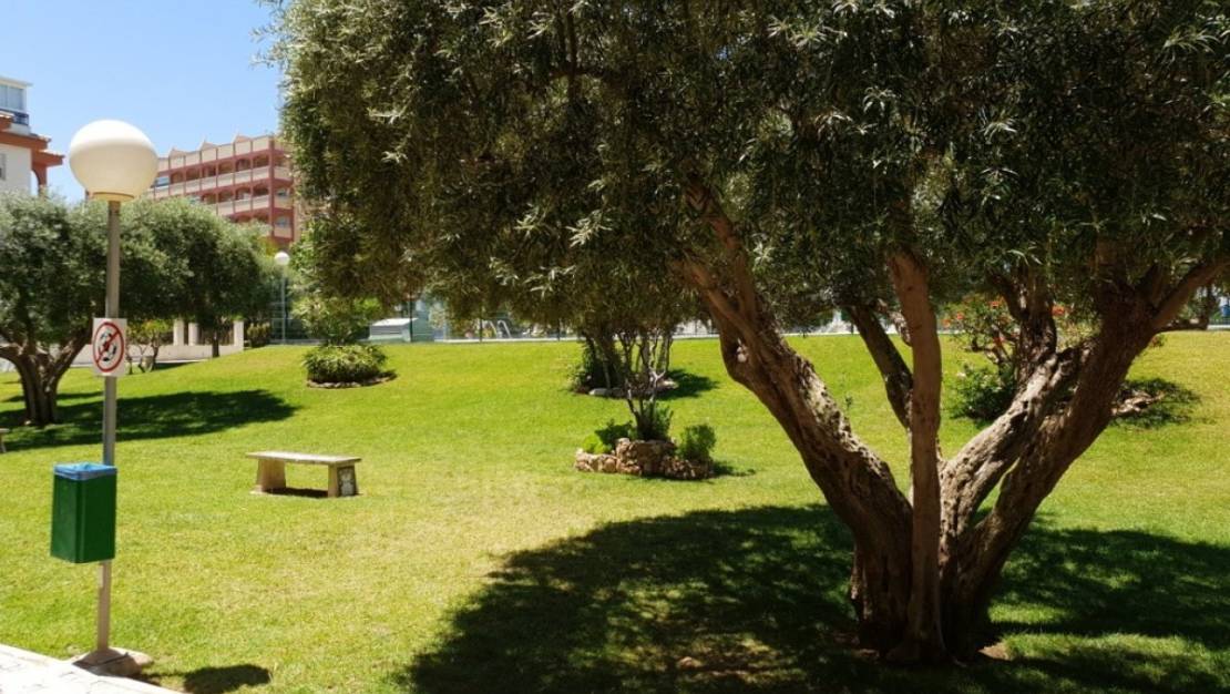 Sale - Apartment - Torrevieja - La Mata