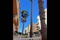 Sale - Apartment - Torrevieja - La Mata