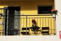 Sale - Apartment - Torrevieja - La Veleta