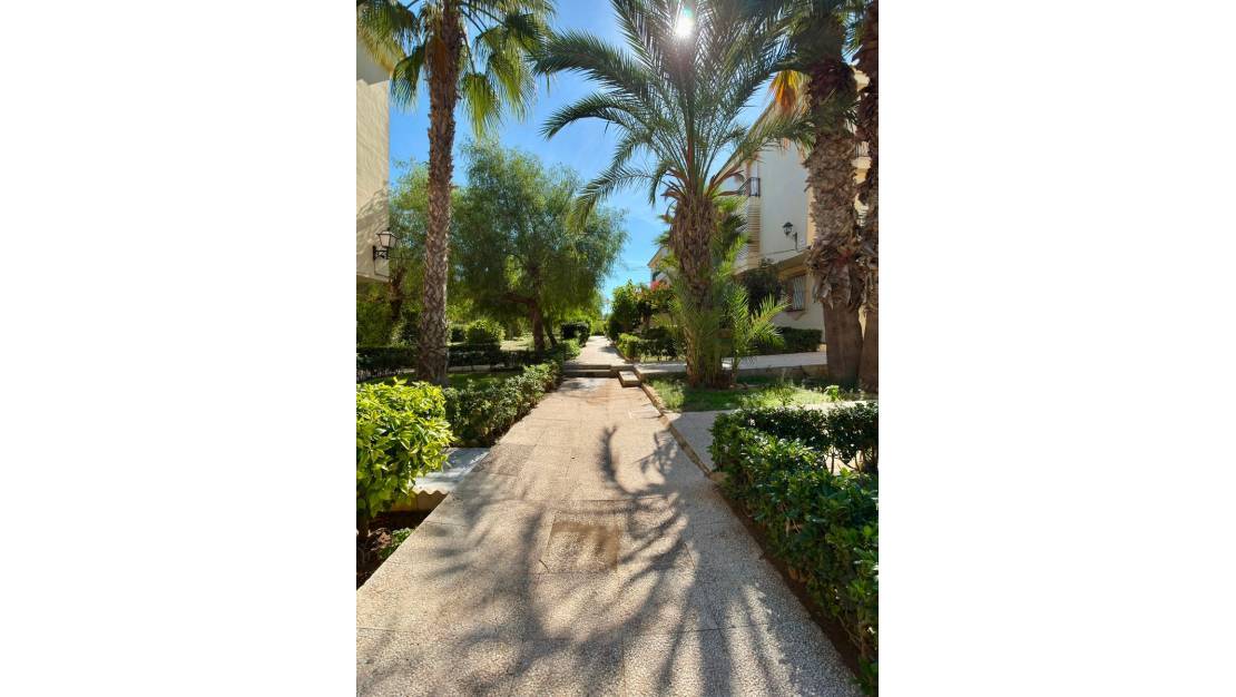 Sale - Apartment - Torrevieja - La Veleta