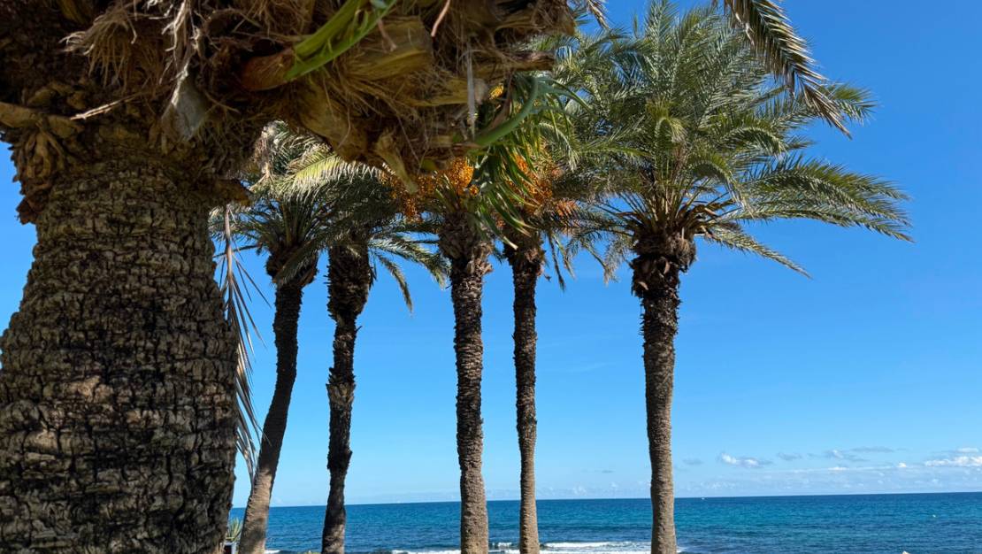 Sale - Apartment - Torrevieja - La Veleta