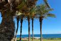Sale - Apartment - Torrevieja - La Veleta