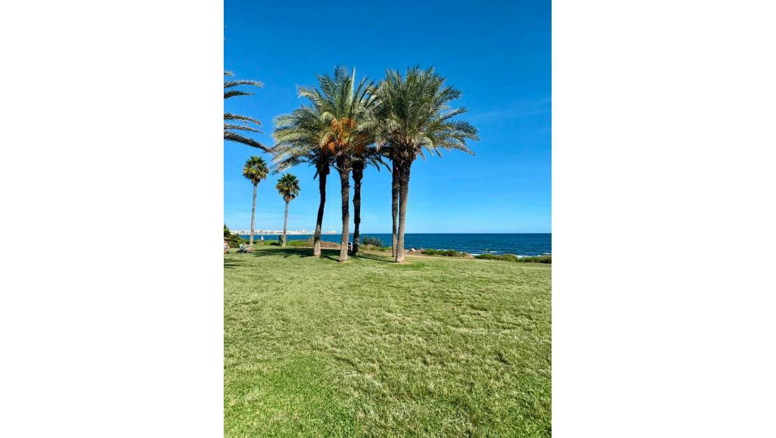 Sale - Apartment - Torrevieja - La Veleta