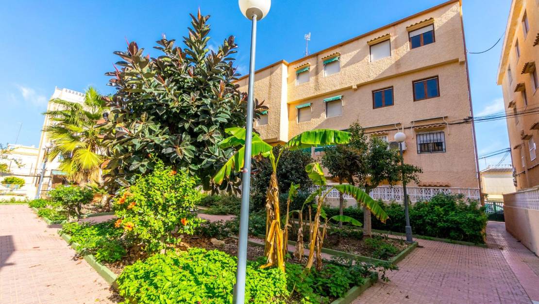 Sale - Apartment - Torrevieja - Los Europeos