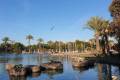 Sale - Apartment - Torrevieja - Parque las naciones