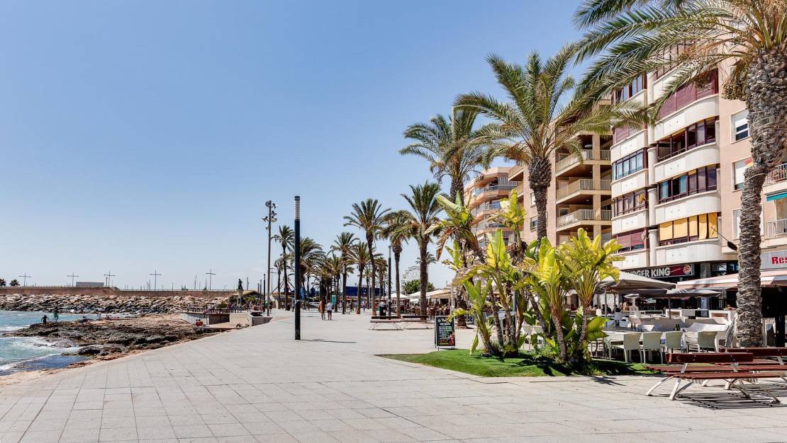 Sale - Apartment - Torrevieja - Paseo maritimo