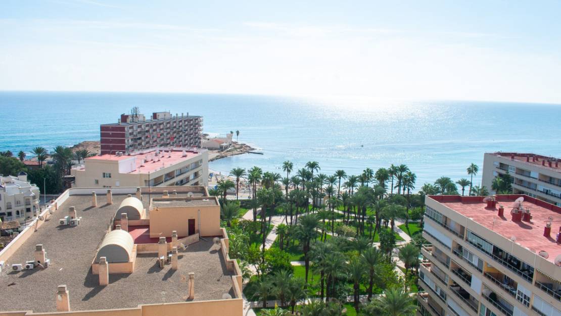 Sale - Apartment - Torrevieja - Playa de los Locos