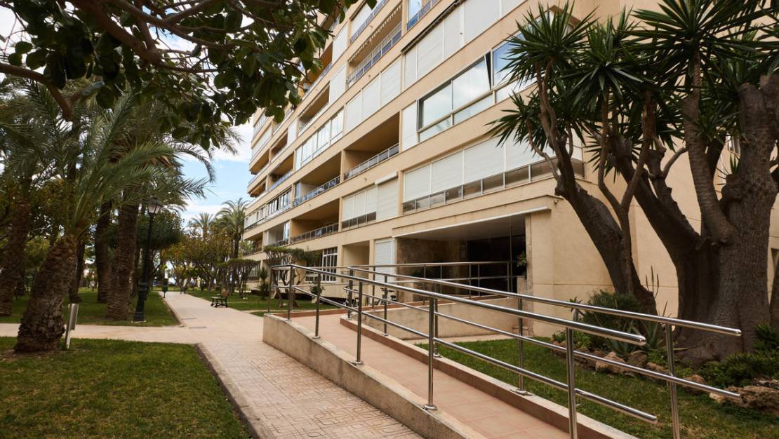 Sale - Apartment - Torrevieja - Playa de los Locos