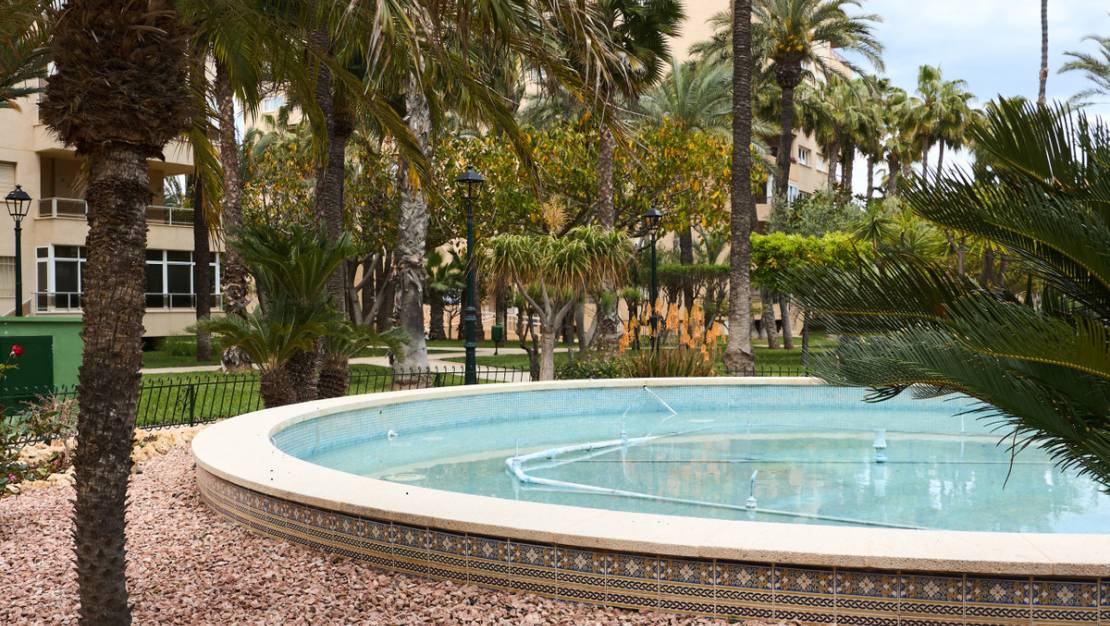 Sale - Apartment - Torrevieja - Playa de los Locos