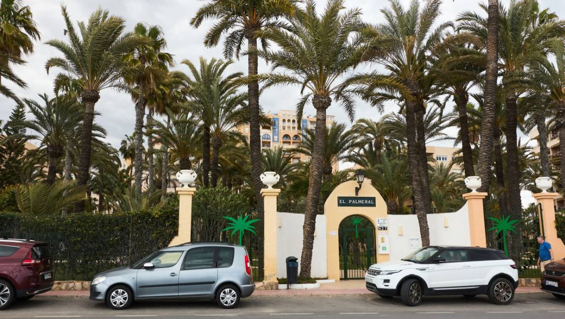 Sale - Apartment - Torrevieja - Playa de los Locos