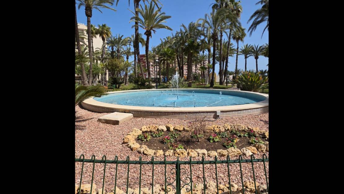 Sale - Apartment - Torrevieja - Playa de los Locos