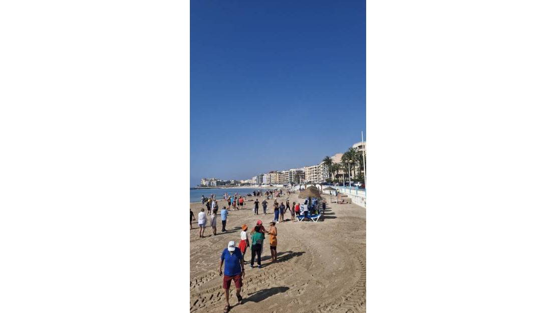 Sale - Apartment - Torrevieja - Playa de los Locos
