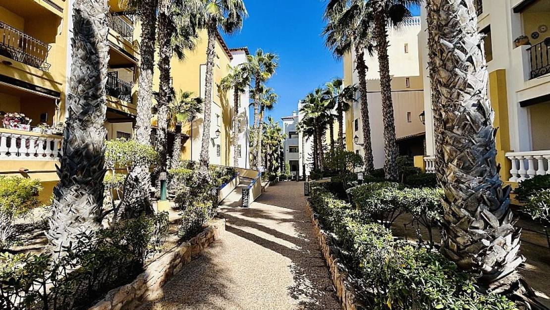 Sale - Apartment - Torrevieja - Playa de los Locos
