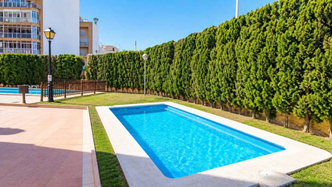 Sale - Apartment - Torrevieja - Playa de los Locos