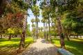 Sale - Apartment - Torrevieja - Playa de los Naufragos