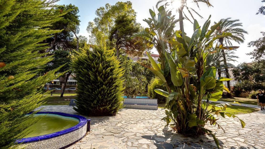 Sale - Apartment - Torrevieja - Playa de los Naufragos