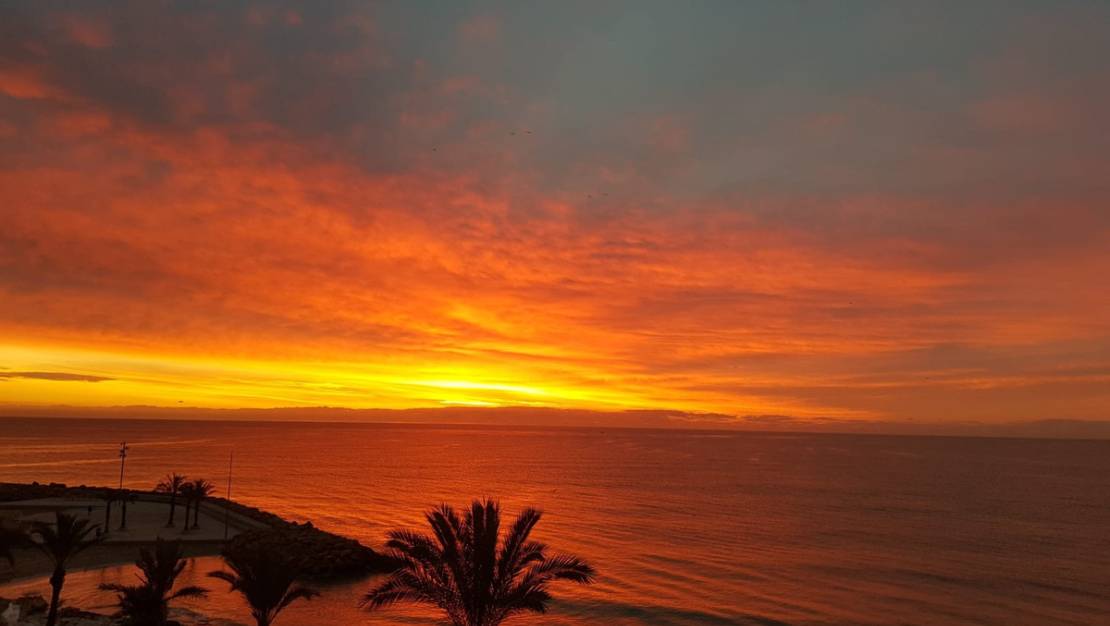 Sale - Apartment - Torrevieja - Playa del Cura