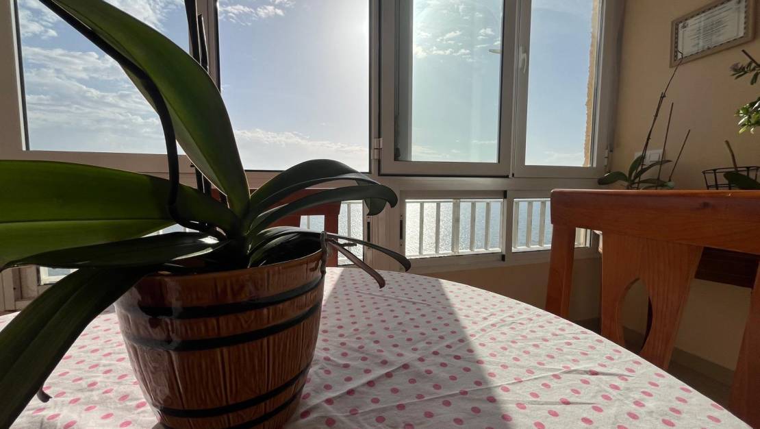 Sale - Apartment - Torrevieja - Playa del Cura