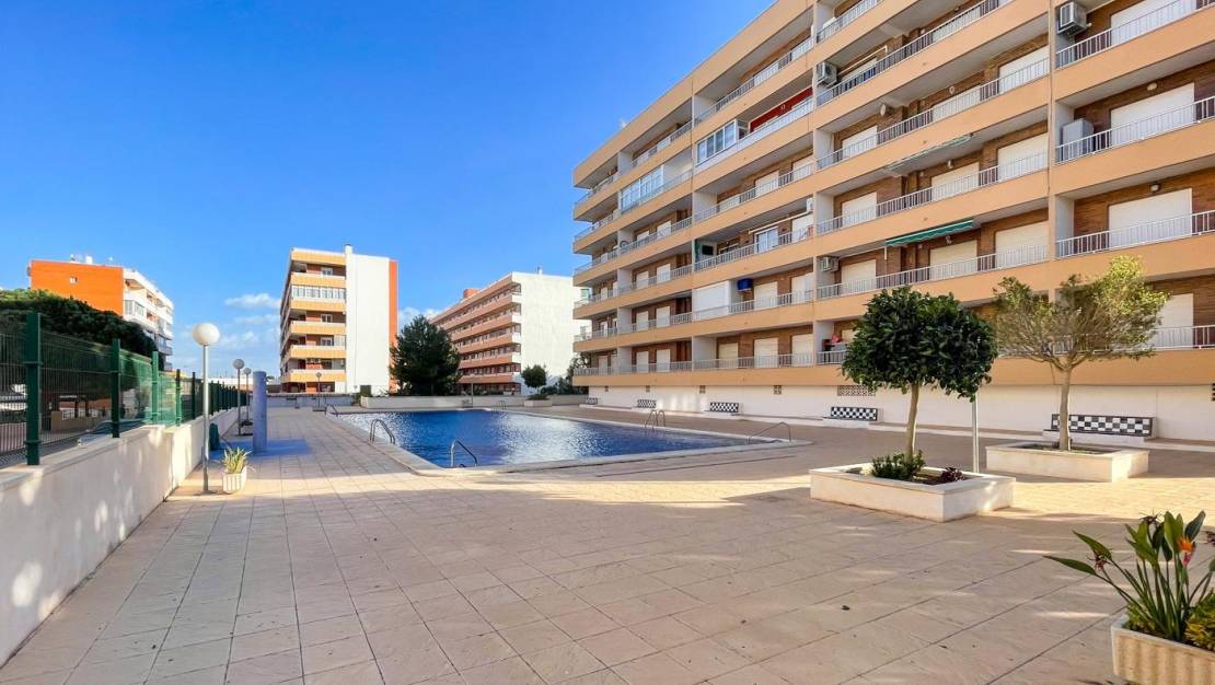 Sale - Apartment - Torrevieja - Punta prima