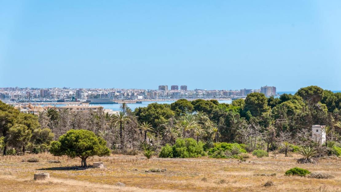 Sale - Apartment - Torrevieja - Punta prima