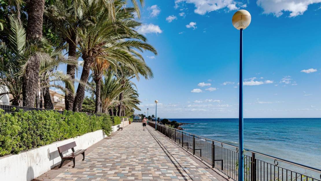 Sale - Apartment - Torrevieja - Punta prima