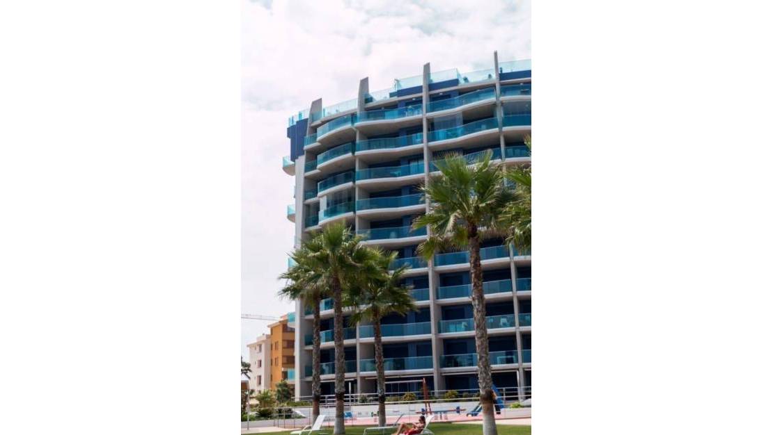 Sale - Apartment - Torrevieja - Punta prima