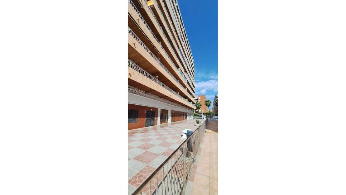 Sale - Apartment - Torrevieja - Torrevieja Centro