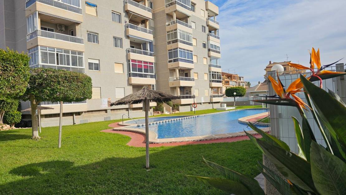 Sale - Apartment - Torrevieja - Torrevieja Centro